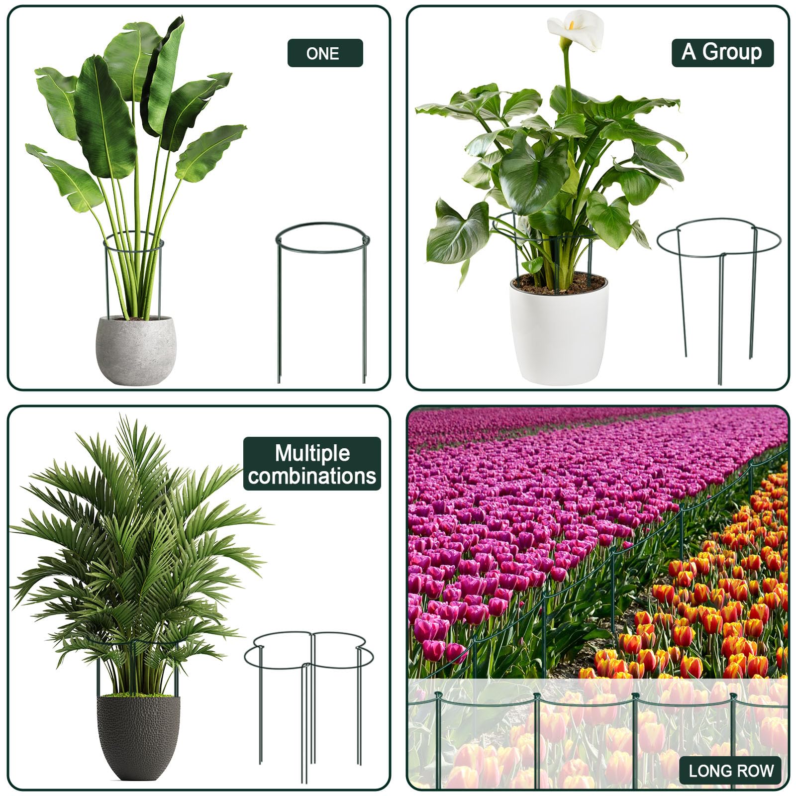 Gicare units linked into a full circle around a plant keeping stems contained