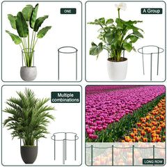 Gicare units linked into a full circle around a plant keeping stems contained