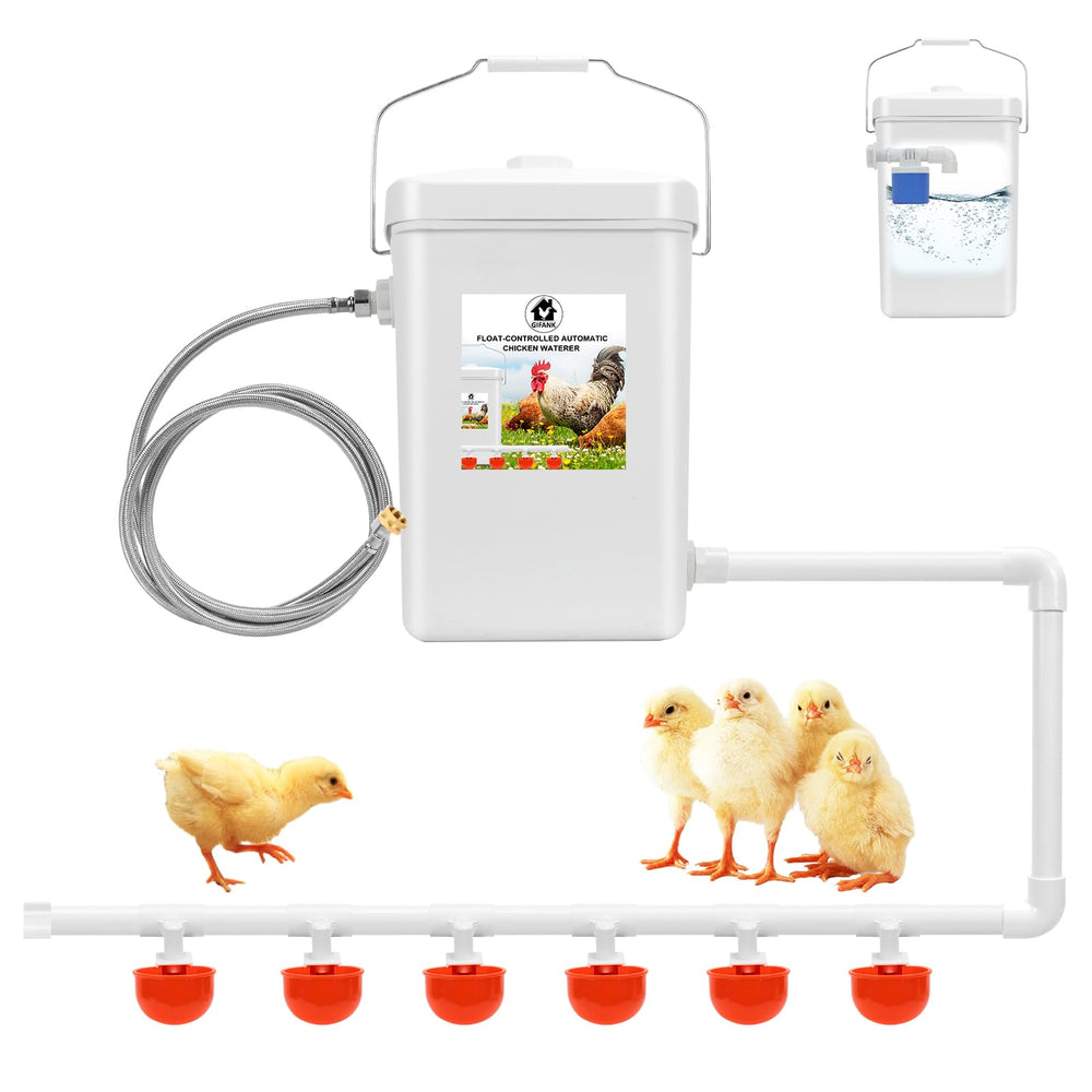 GIFANK disassembled parts for easy cleaning and simple maintenance
