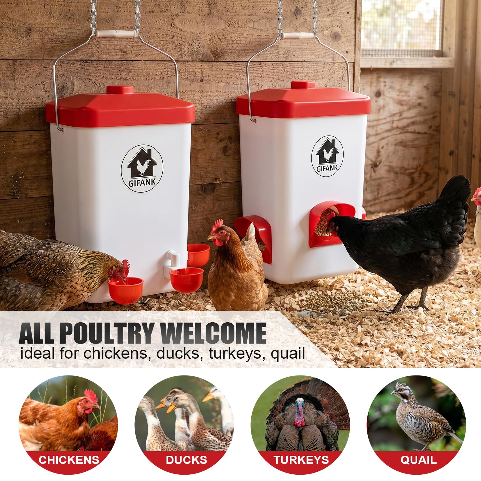 GIFANK feeder tray detail with feed showing spill-resistant design benefit