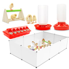 GIFANK front view of complete chick starter kit showing all included pieces and organized setup