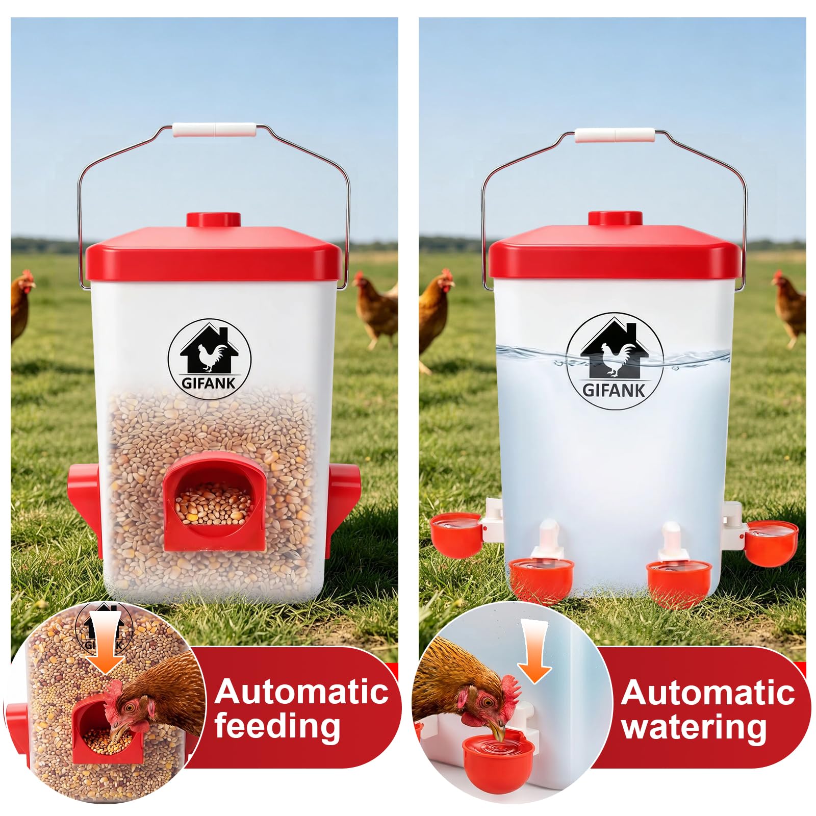 GIFANK reusable leg bands and identification ring for efficient flock tracking