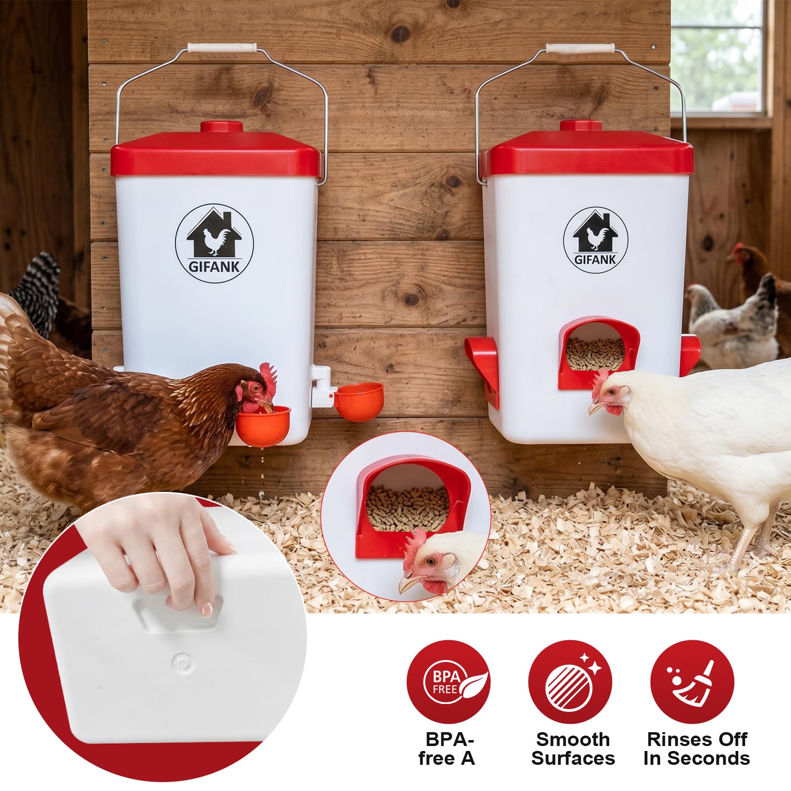 GIFANK lifestyle backyard coop scene showing organized feed and water access