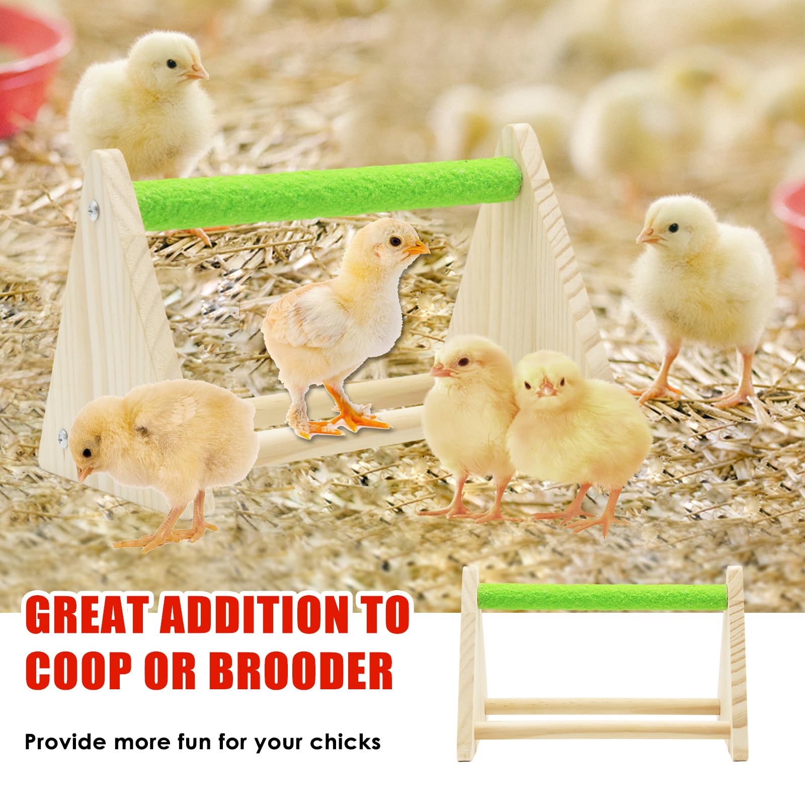 GIFANK lifestyle shot of chicks exploring brooder conveying comfort and enrichment