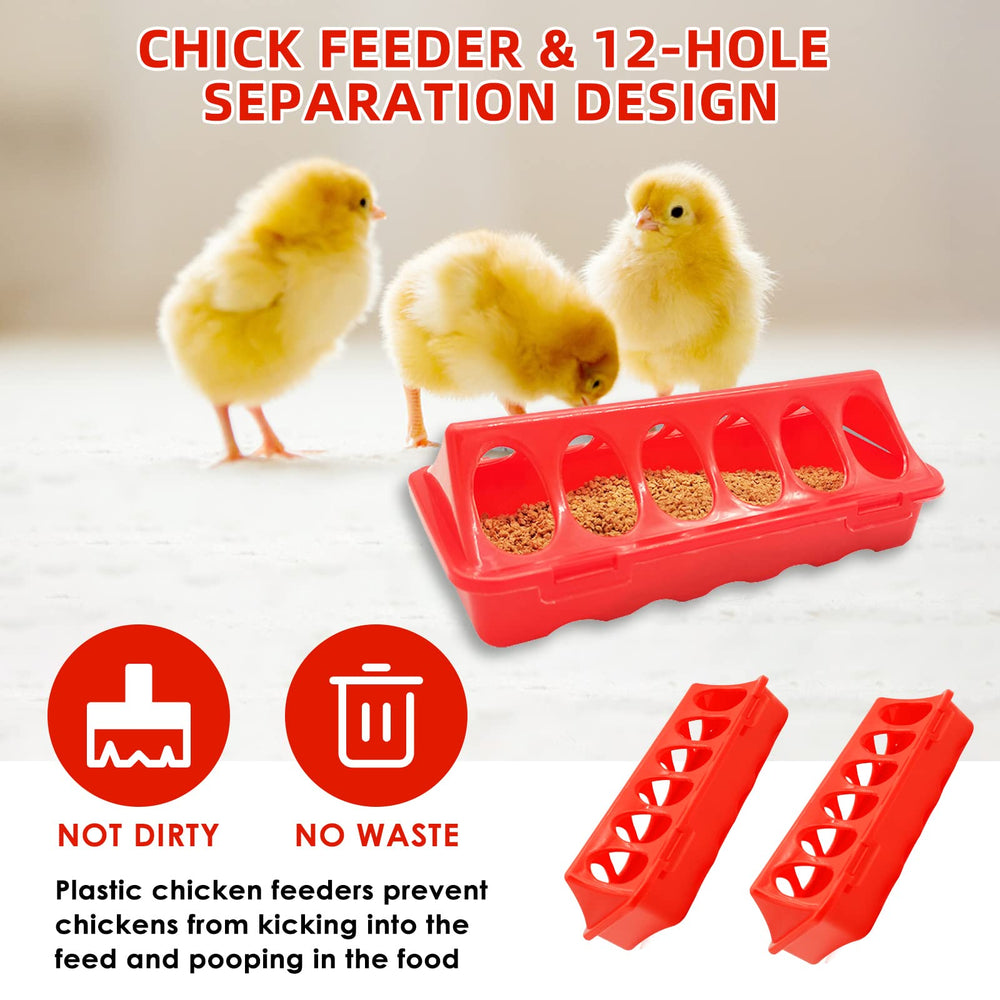 GIFANK chick perch installed inside brooder providing exercise and safe roosting