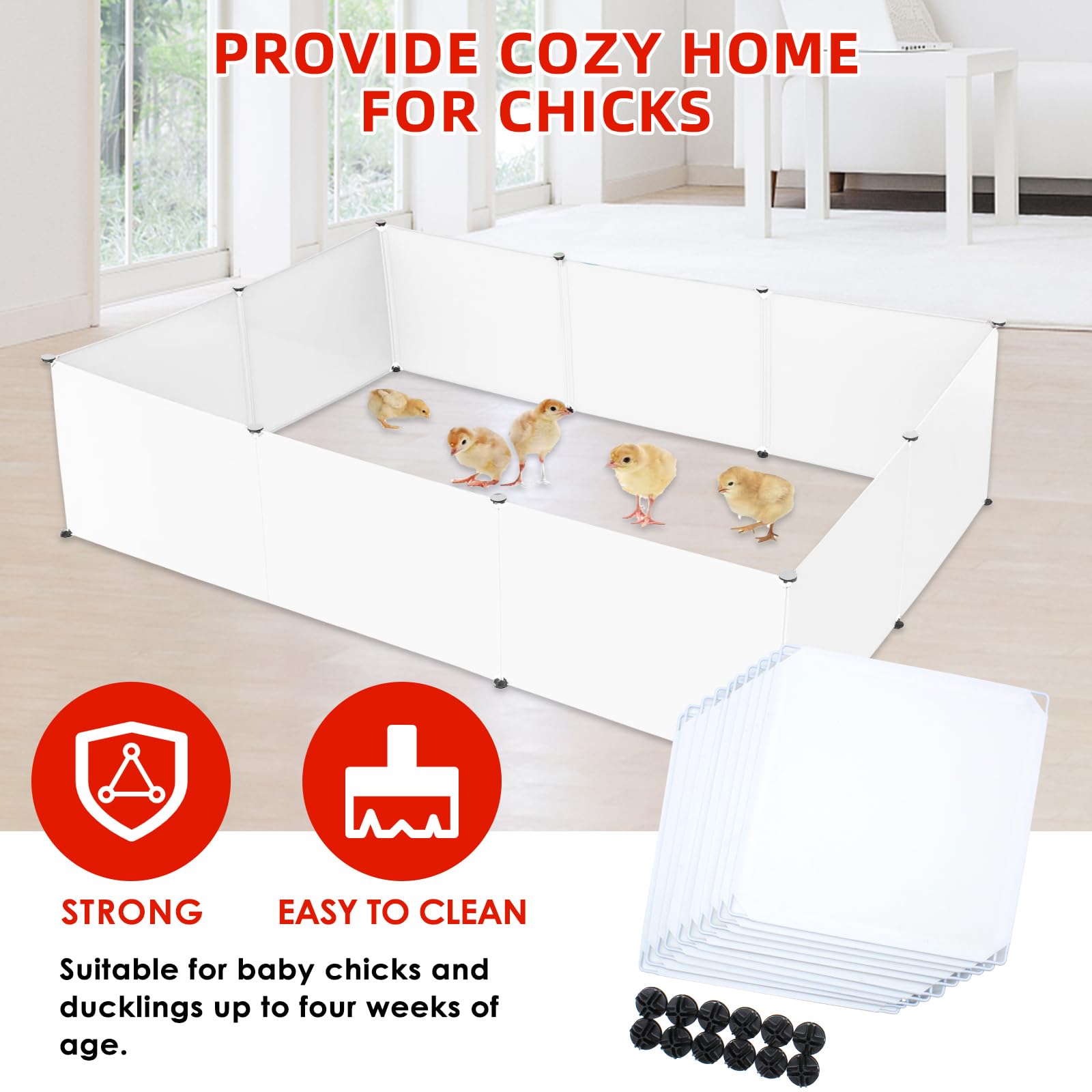 GIFANK kit next to chicks for size comparison showing compact, space-saving design