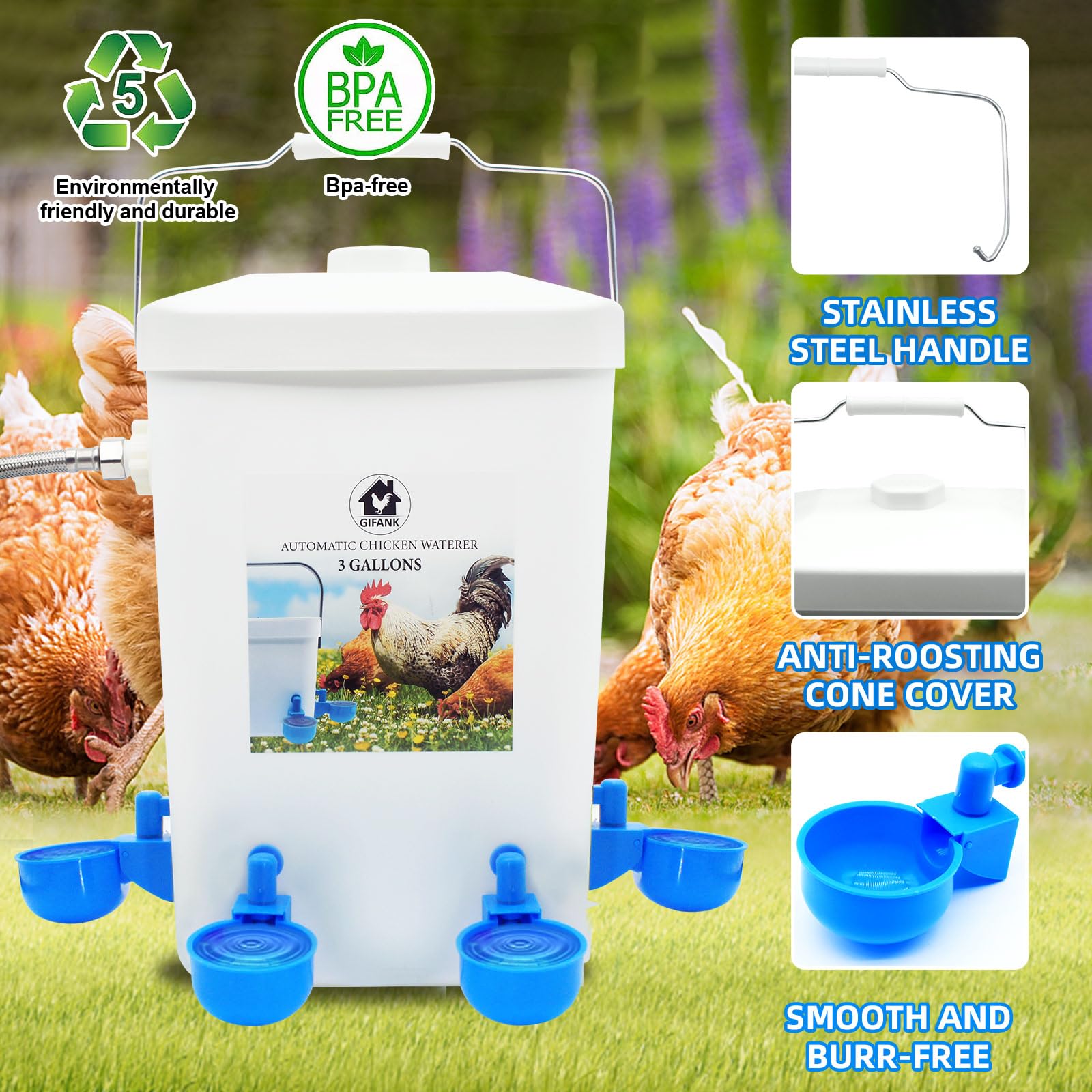 GIFANK waterer next to chicken for scale, demonstrates appropriate height