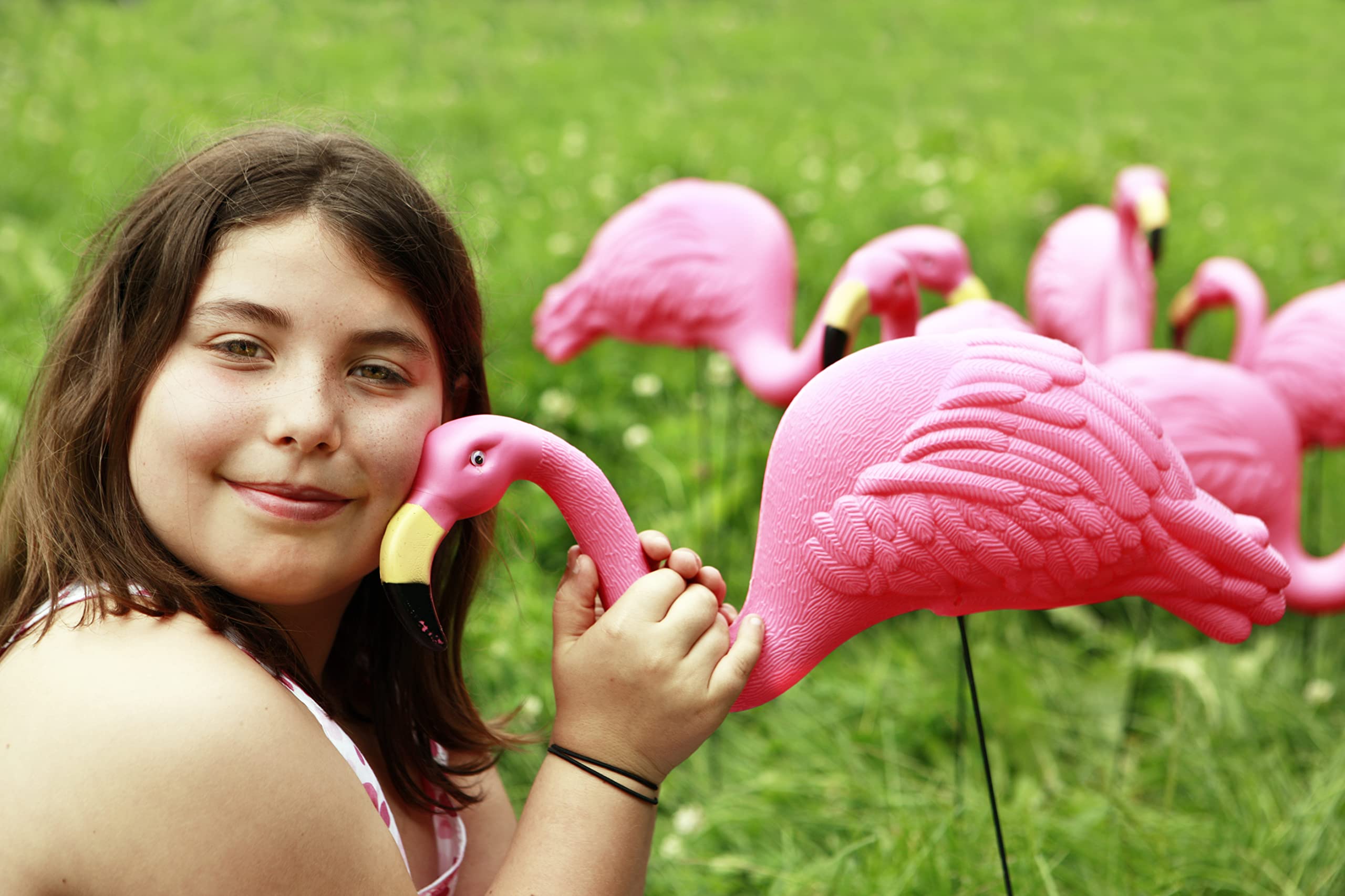 GiftExpress flamingos grouped on a lawn adding instant curb appeal