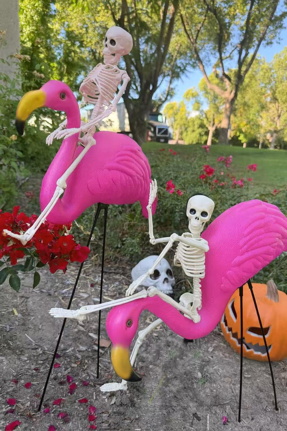 GIFTEXPRESS porch display lifestyle showing instant party-ready decoration