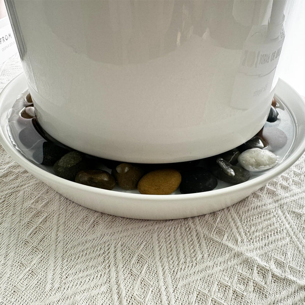 GIKUPOM tray with potted plant demonstrating stable support and style