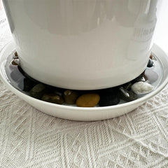 GIKUPOM tray with potted plant demonstrating stable support and style