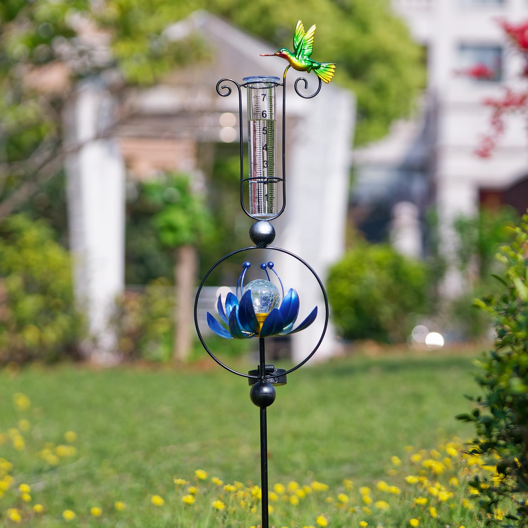 GIBMIDSER height comparison next to plant to illustrate 42-inch scale visibility