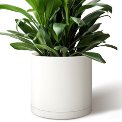 Giraffe Creation front view of white 12 inch cylinder planter showing modern shape and clean finish