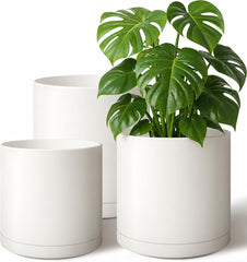 Giraffe Creation front view of three white cylinder planters showing clean design and balance