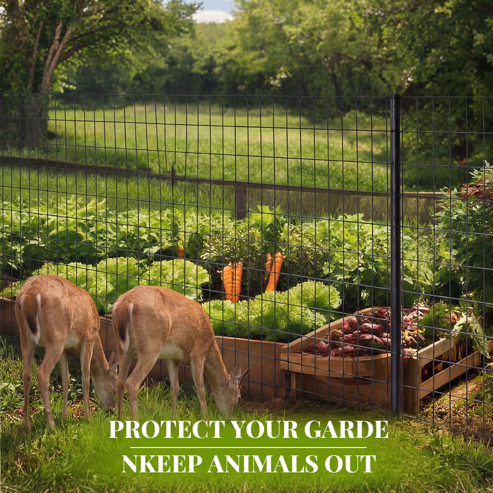 Gisafai fence installed around goat pen providing secure livestock benefit