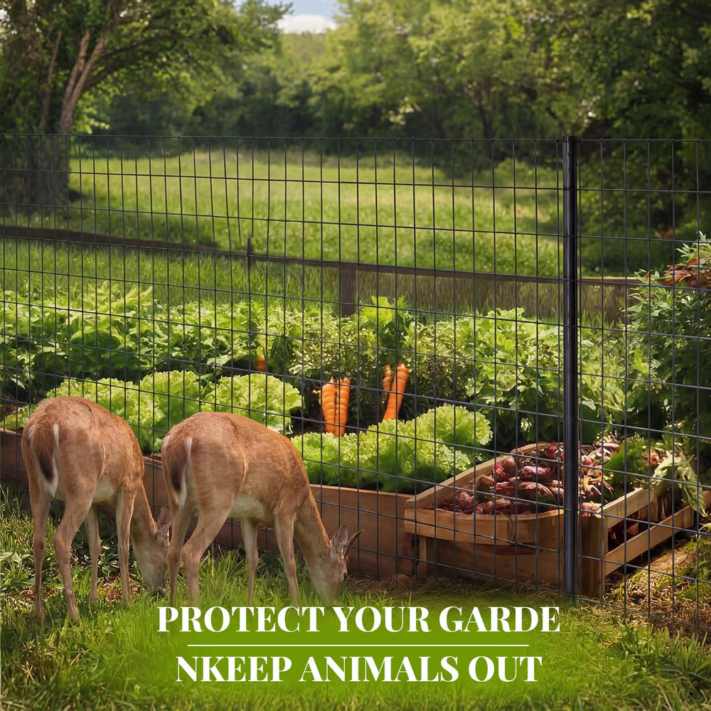 Gisafai fence installed around goat pen providing secure livestock benefit