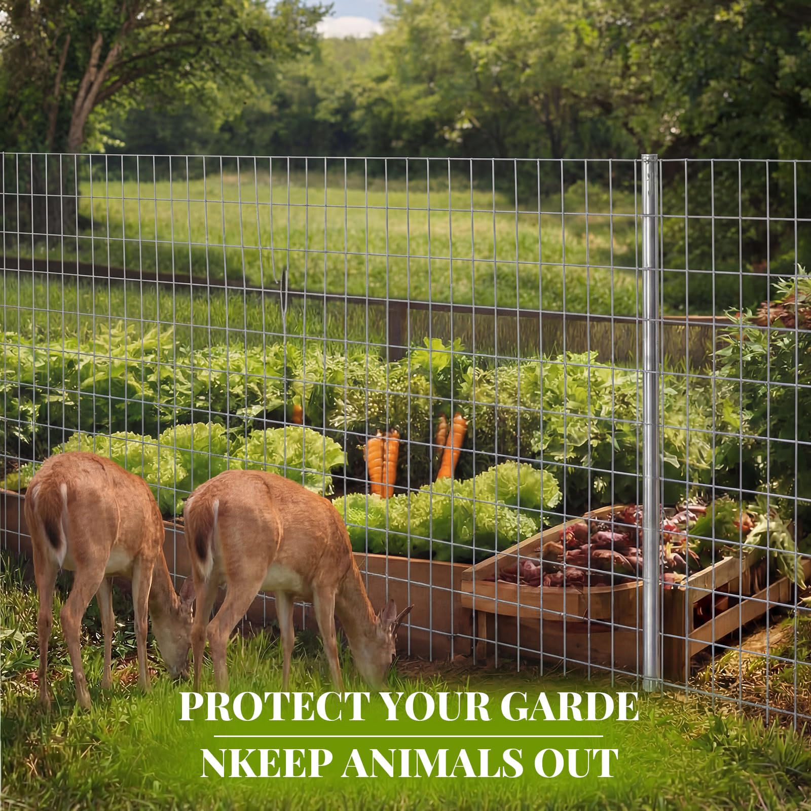 Gisafai installed on wooden posts around pasture demonstrating reliable livestock control benefit