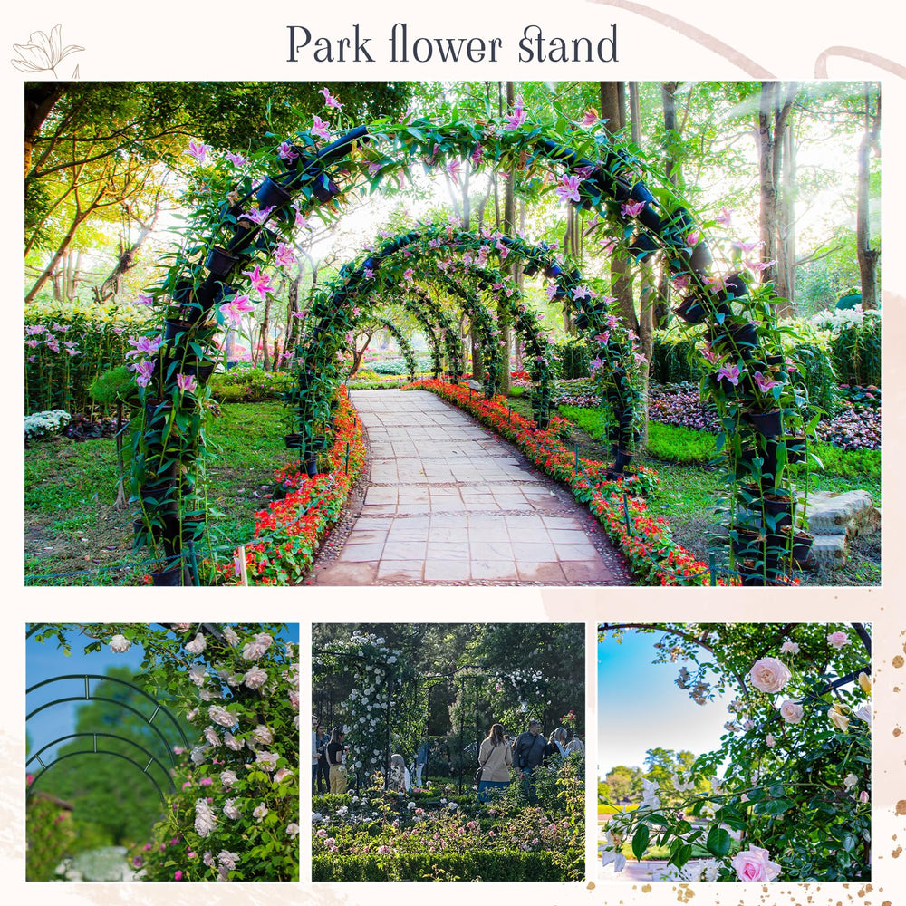 Gisafai size comparison with person shows scale and suitable clearance for guests