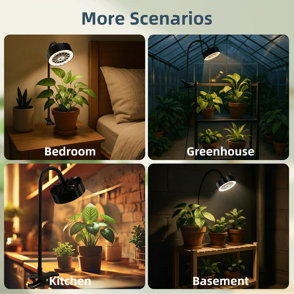 GISMIOSY scale with succulent pot showing size and appropriate PPFD for small plants benefit