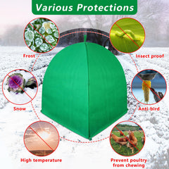 GJL tent staked in garden resisting wind and holding position