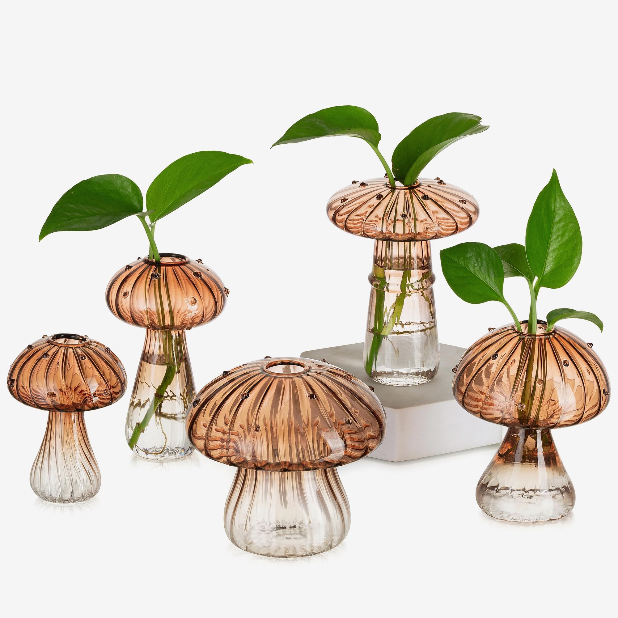 Glasseam amber mushroom jars front view showing set and decorative appeal