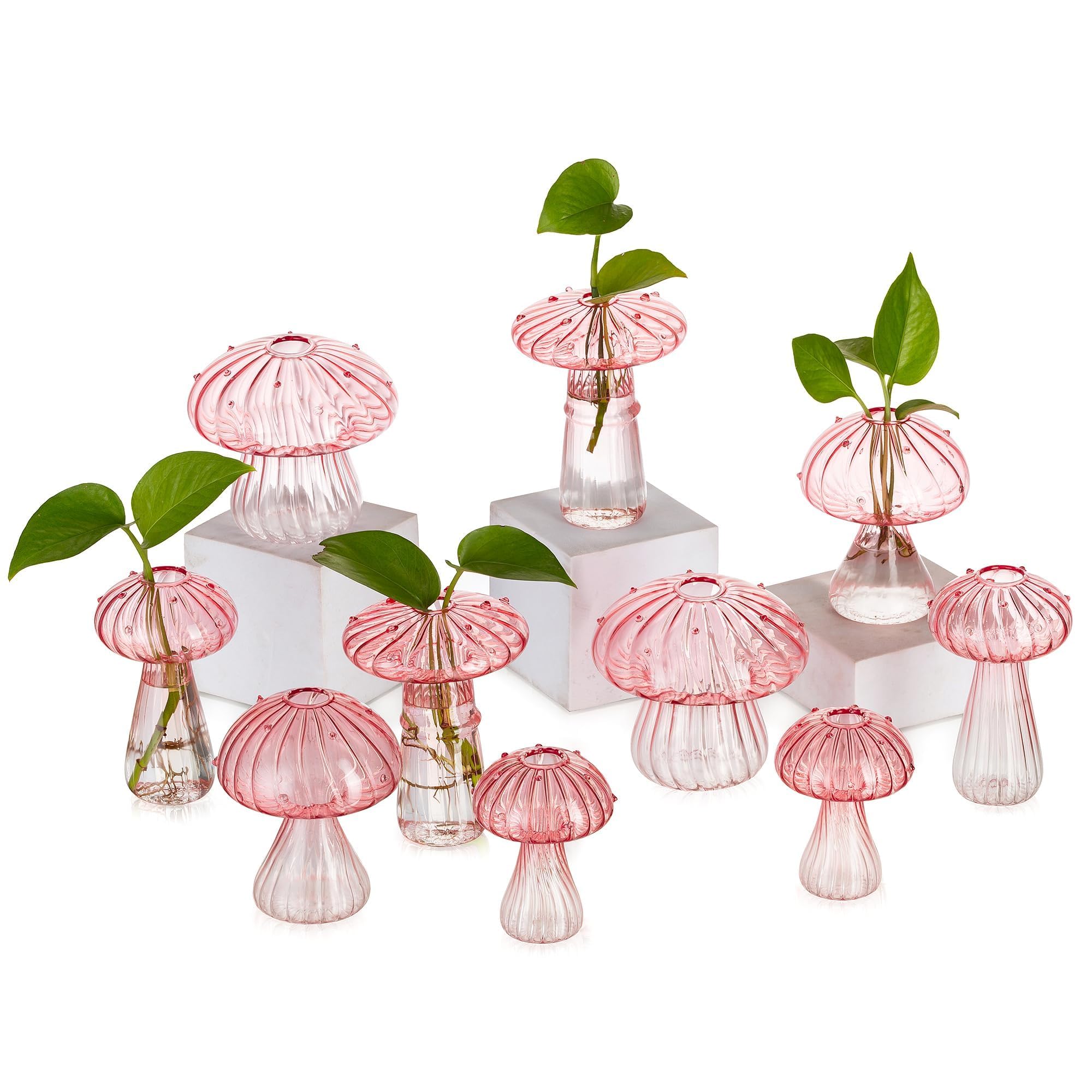Glasseam front view showing five pink mushroom jars highlighting decorative charm