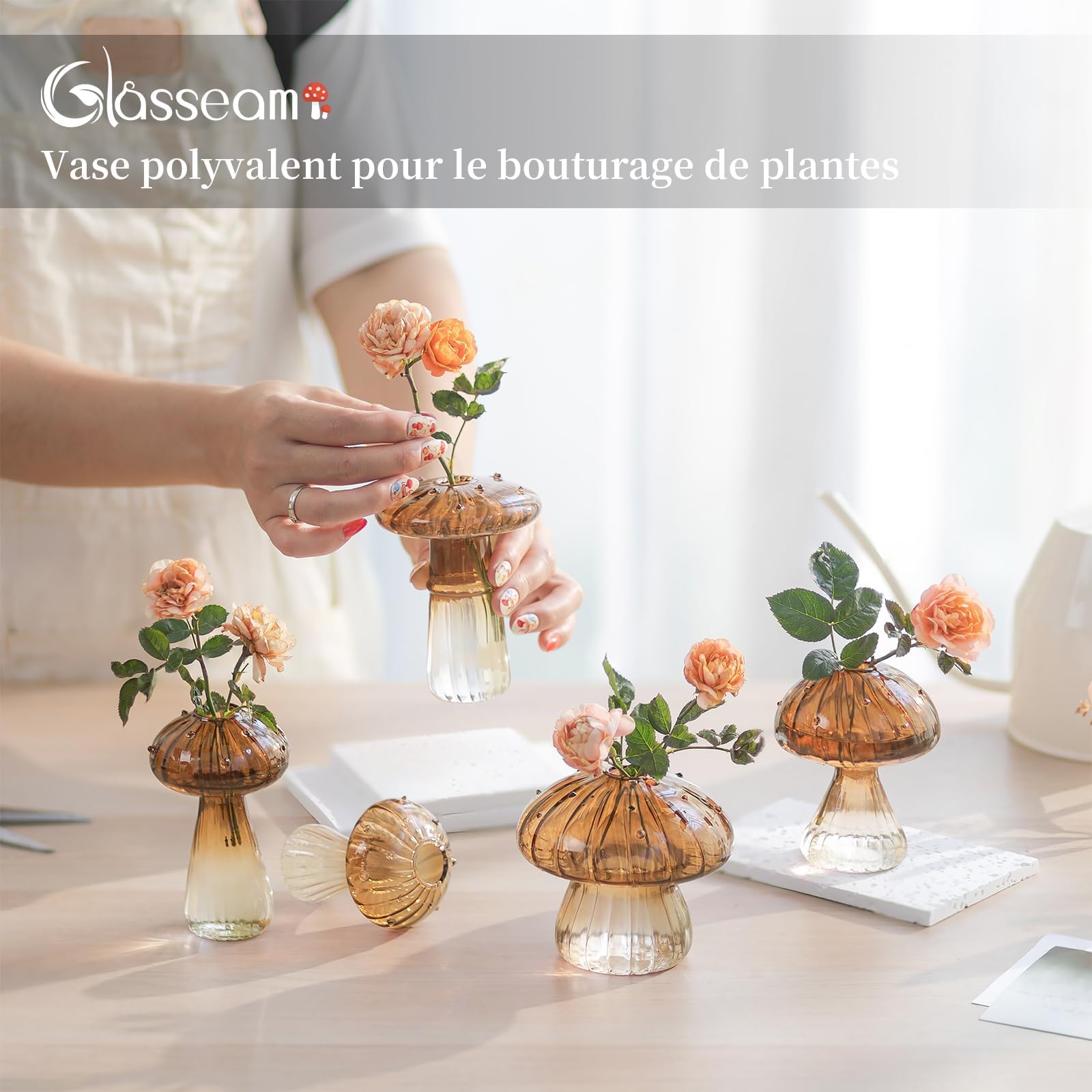 Glasseam jars on windowsill propagating cuttings with filtered light benefit