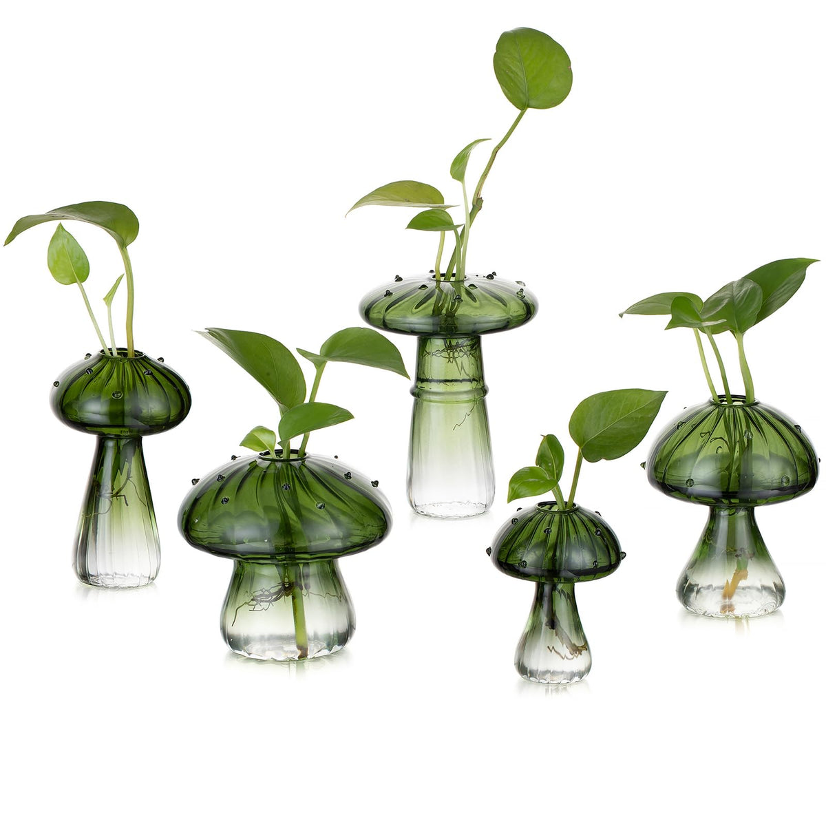 Glasseam front view of five green mushroom propagation jars, decorative and functional