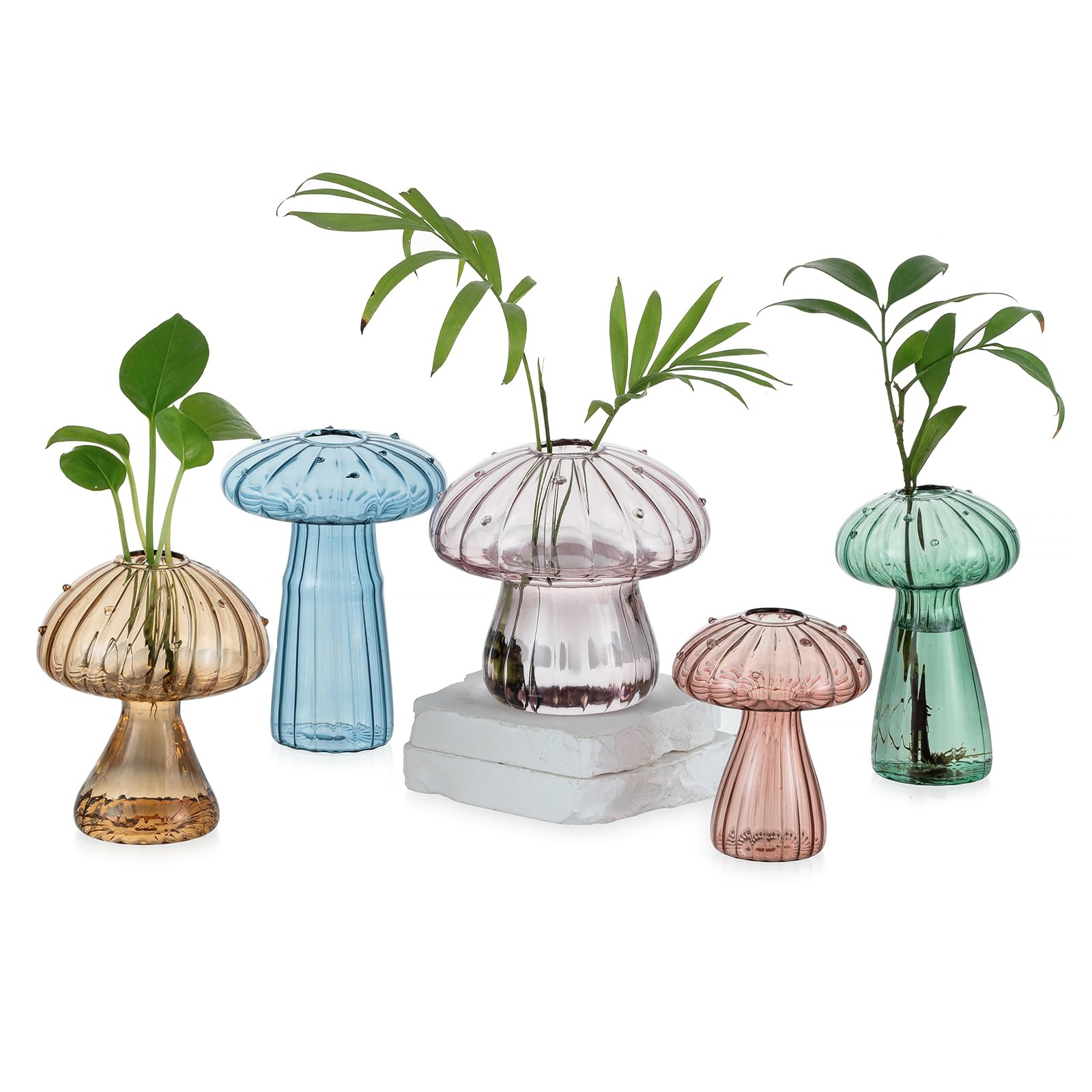 Glasseam mushroom vases front group view showing decorative cluster and propagation benefit