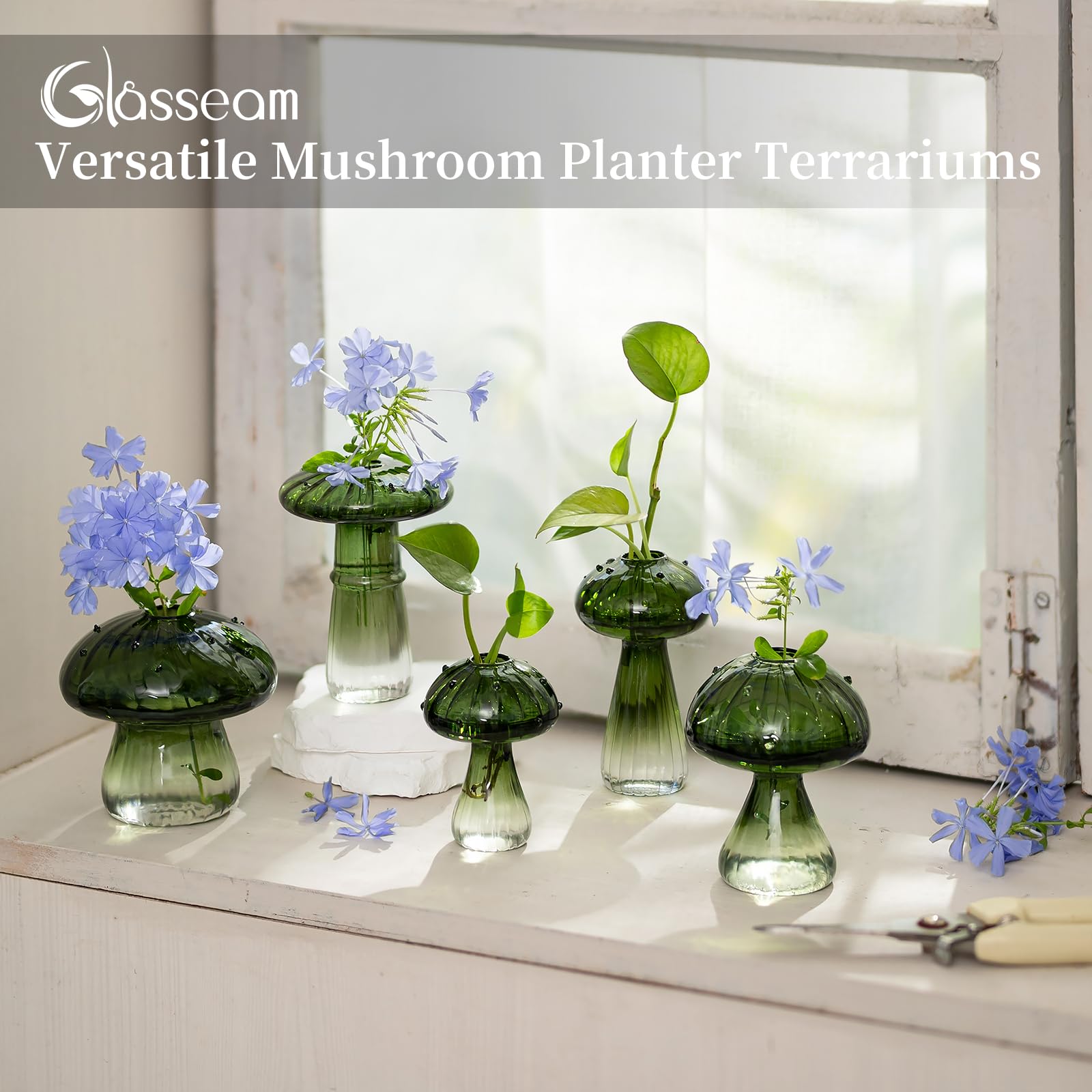 Glasseam mushroom jar holding a single stem cutting to show propagation benefit