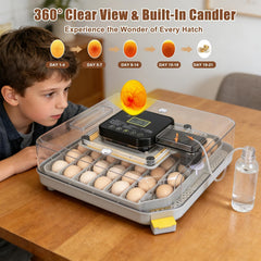 GleeGearNex clear PVC chick separator bent into protective zone to safeguard chicks benefit