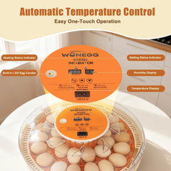 GleeGearNex automatic turning mechanism ensuring even embryo movement