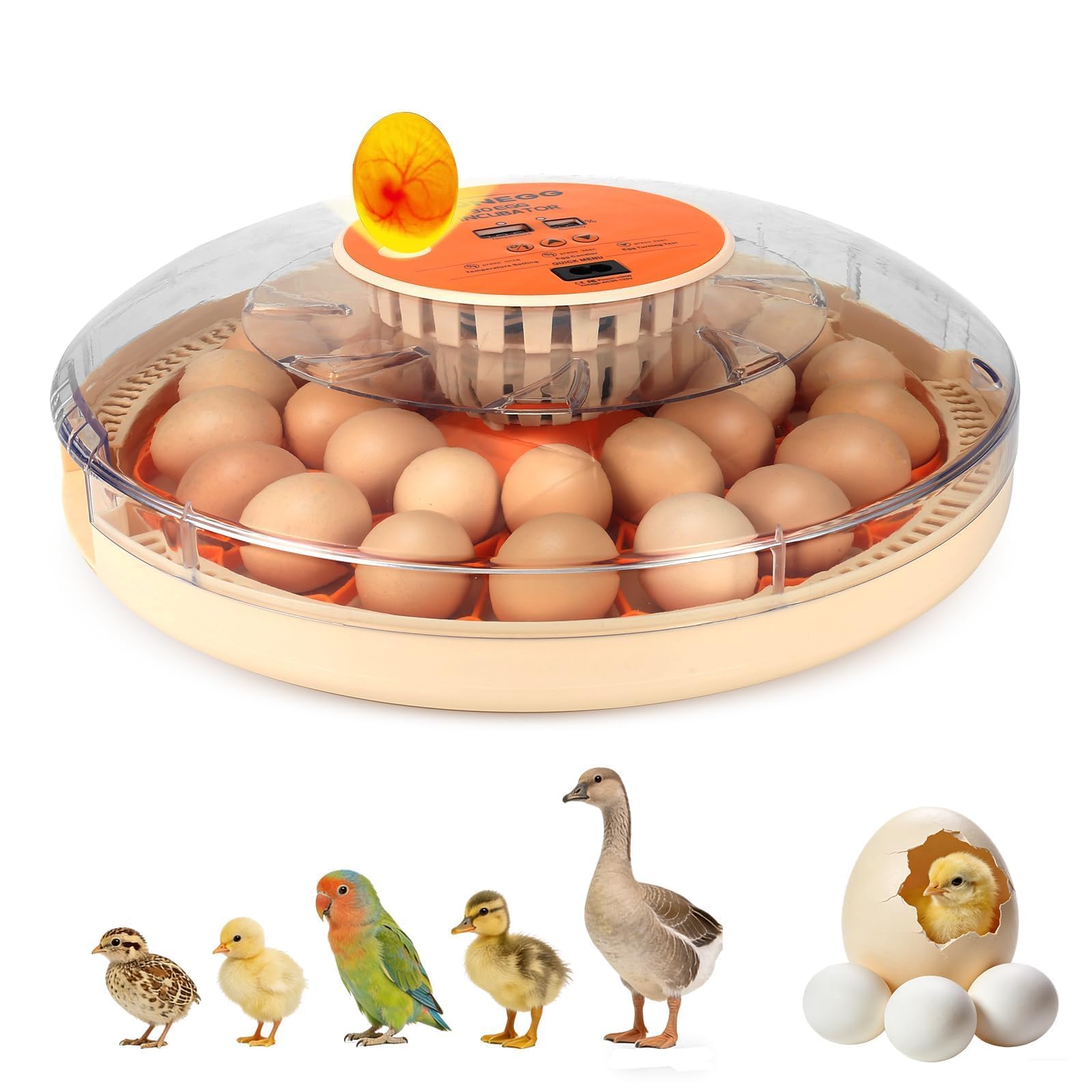GleeGearNex front view showing compact incubator and clear benefits