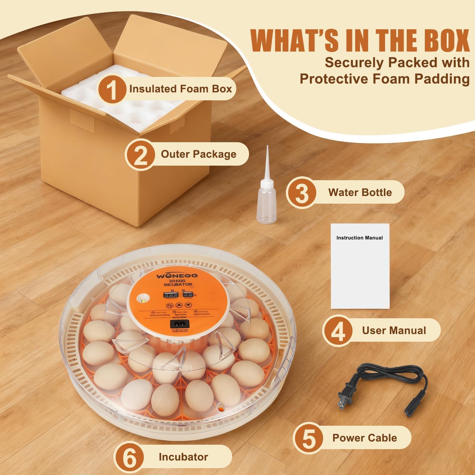GleeGearNex size comparison with chicken and quail eggs for capacity clarity