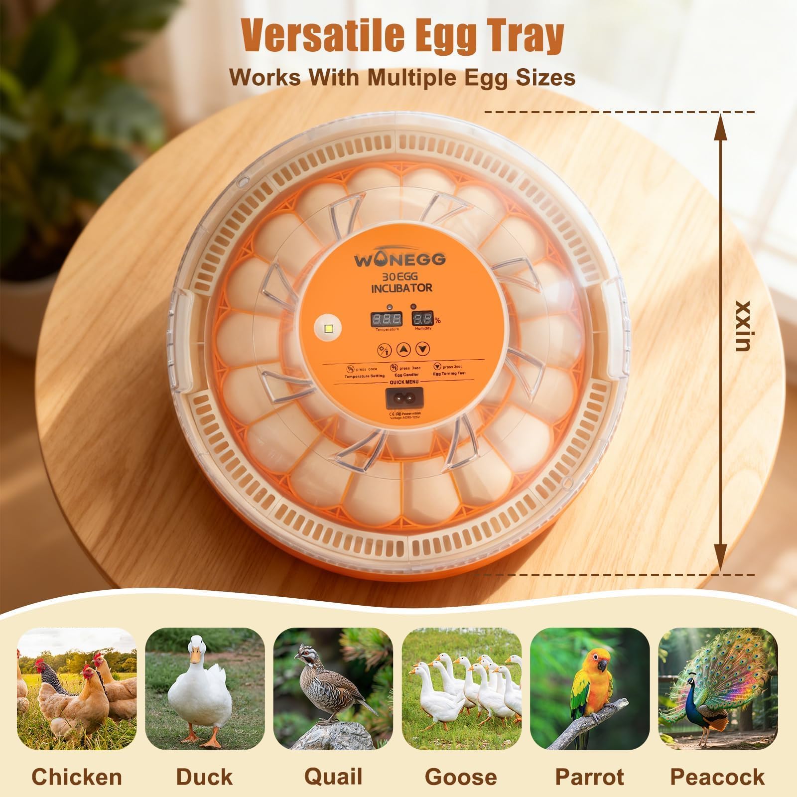 GleeGearNex transparent lid view allowing disturbance-free monitoring