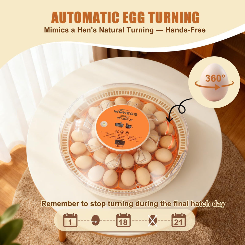GleeGearNex close-up of dual-size egg tray improving mixed hatches