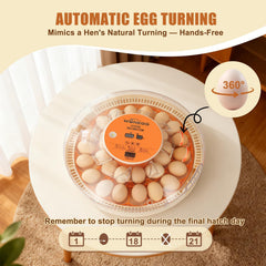 GleeGearNex close-up of dual-size egg tray improving mixed hatches