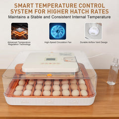 GleeGearNex clear PVC chick separator protecting chicks from moving parts