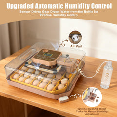 GleeGearNex clear chick separator protecting chicks from moving parts