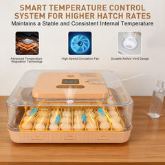 GleeGearNex Gen IV movable dividers demonstrating custom egg spacing advantage