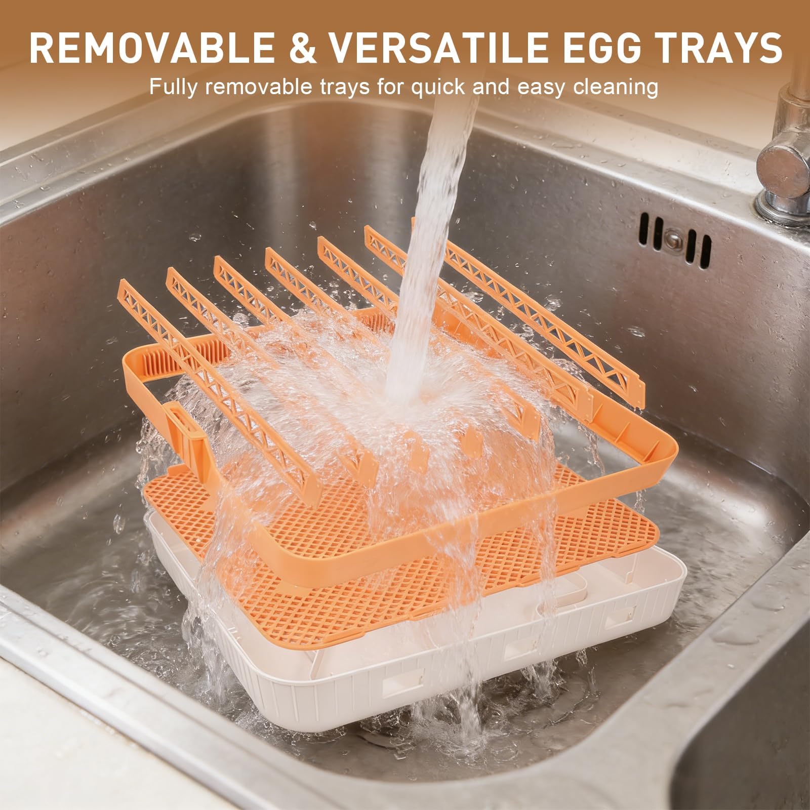GleeGearNex tray with mixed eggs showing movable dividers for varied sizes