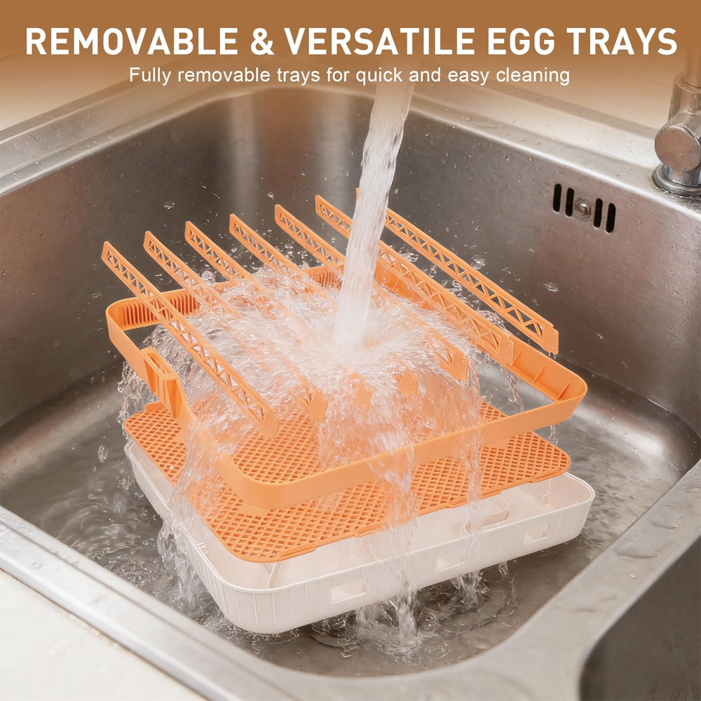 GleeGearNex tray with mixed eggs showing movable dividers for varied sizes
