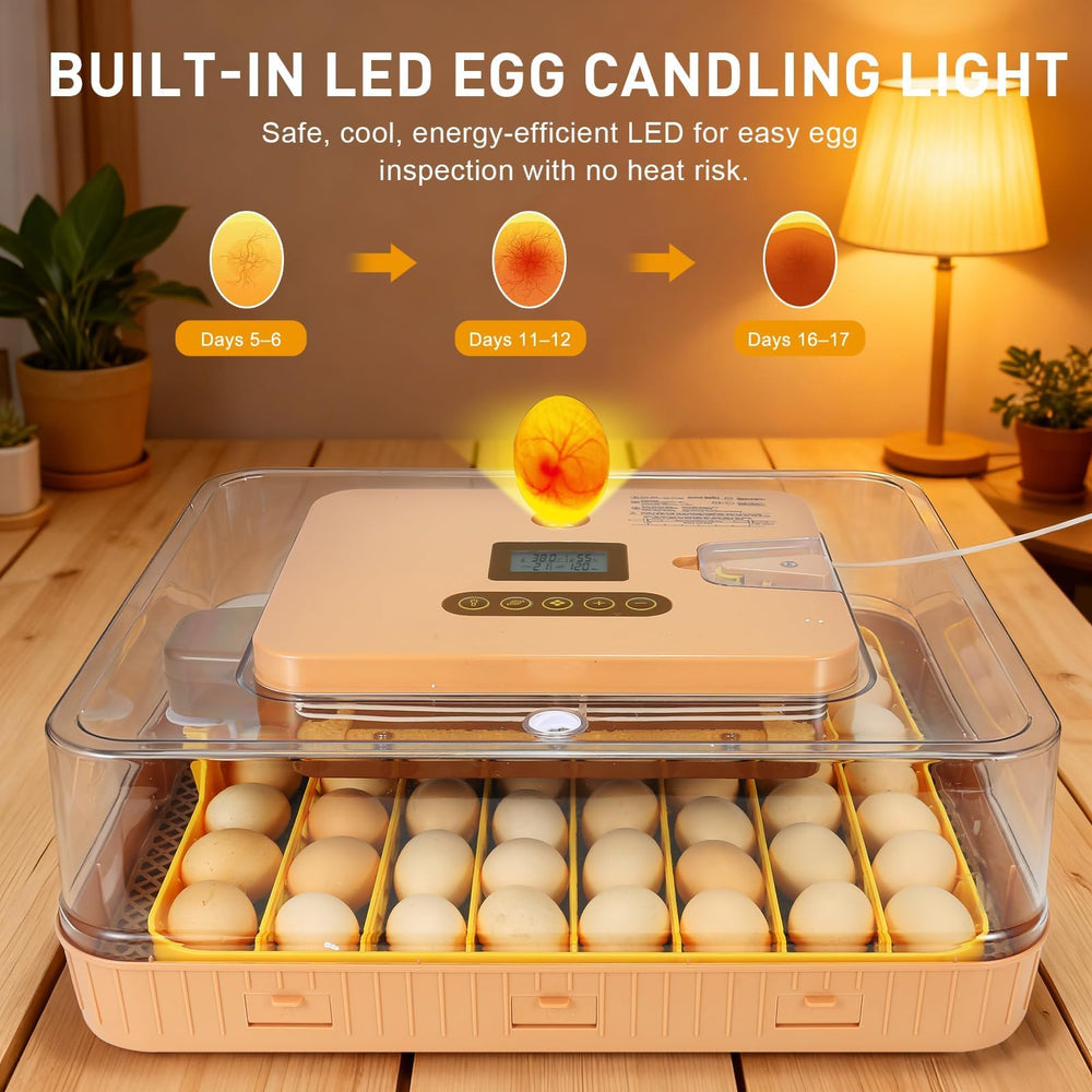 GleeGearNex Gen IV open tray close-up showing egg layout flexibility benefits