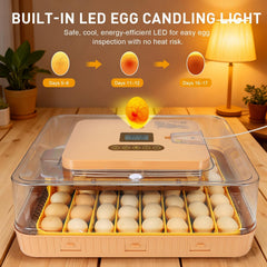 GleeGearNex Gen IV open tray close-up showing egg layout flexibility benefits