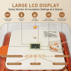 GleeGearNex interior open with trays and eggs demonstrating flexible capacity