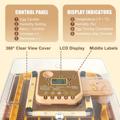 GleeGearNex transparent lid for observation and reduced disturbance