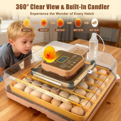 GleeGearNex adjustable tray dividers showing mixed egg spacing benefits