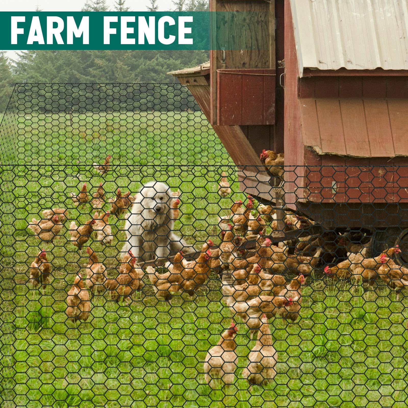 GlikCeil installed as poultry coop fence showing secure containment benefit