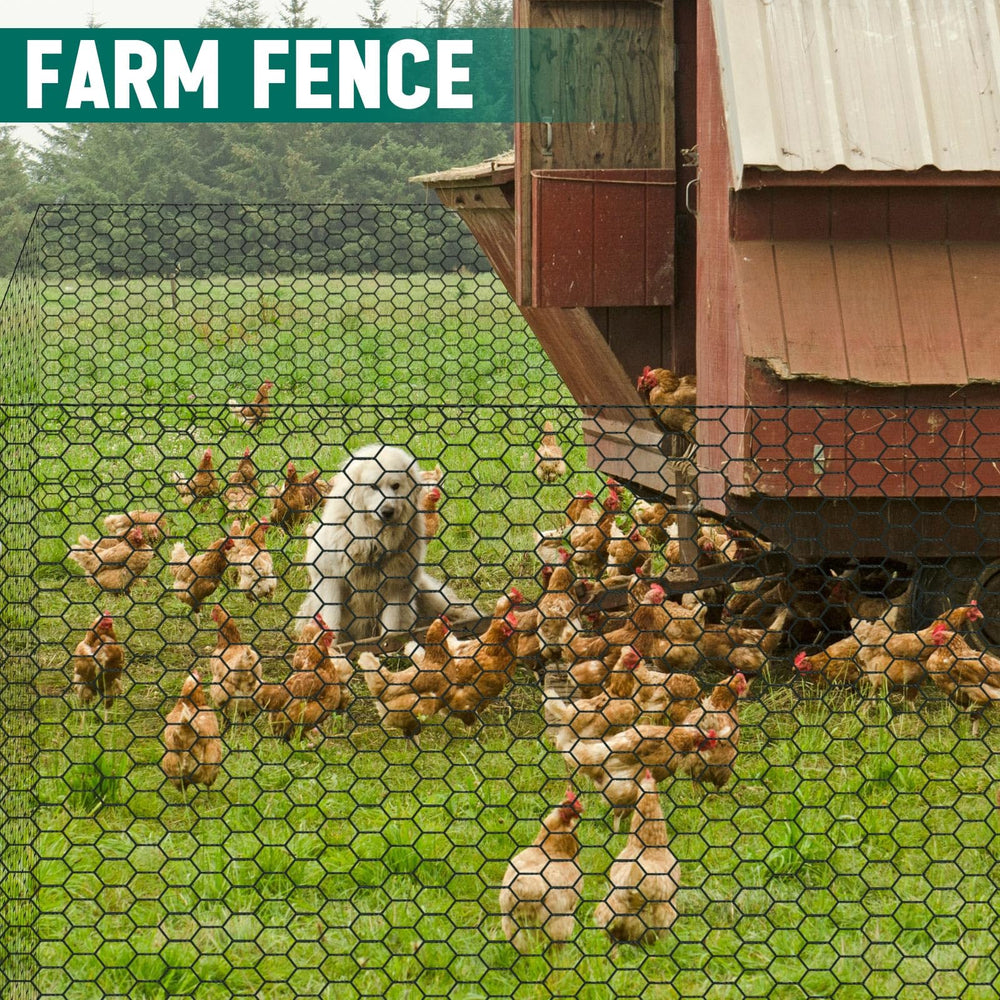 GlikCeil installed as poultry coop fence showing secure containment benefit