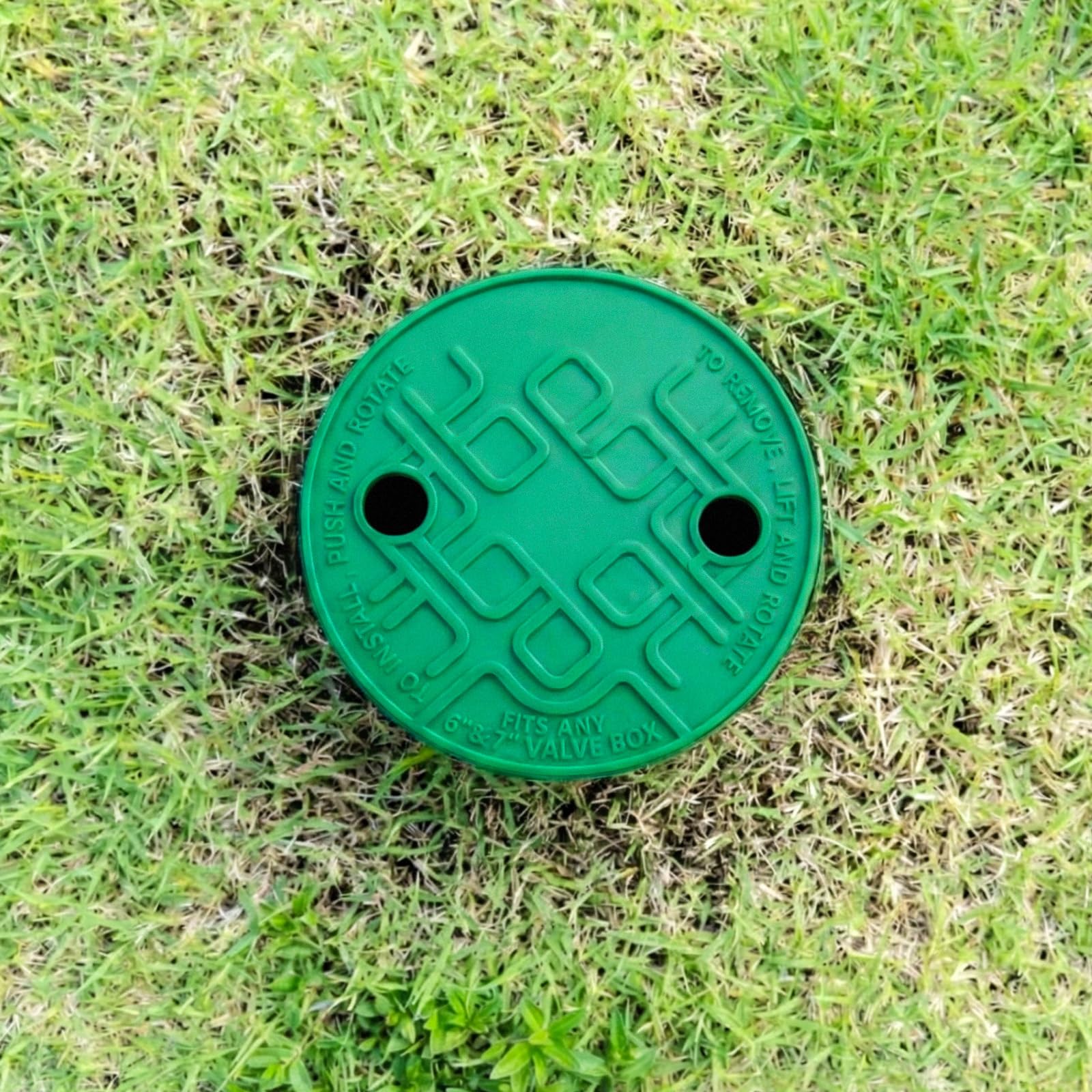 Glooglitter four-pack laid out on lawn showing ready spares and uniform color